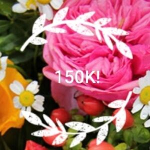 THANKYOU!! 450 000 FOLLOWERS REACHED!!!